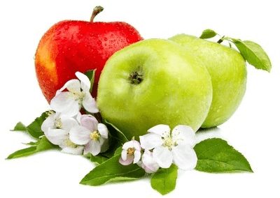 JMC Fruits Poducteur de pomme